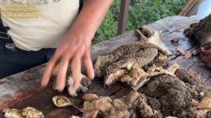 Тест ножа  Грибник из стали 9ХС. Итоги конкурса реза на требухе. Выбрал лучший нож.