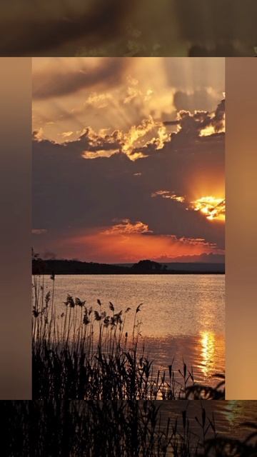 Видеооткрытка Добрый вечер .mp4 смотреть онлайн