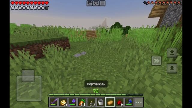 Ферма свинок