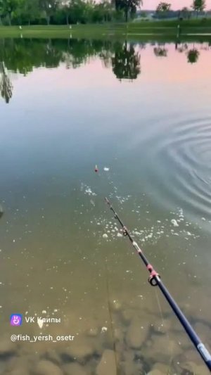 Клюнул монстр!!!