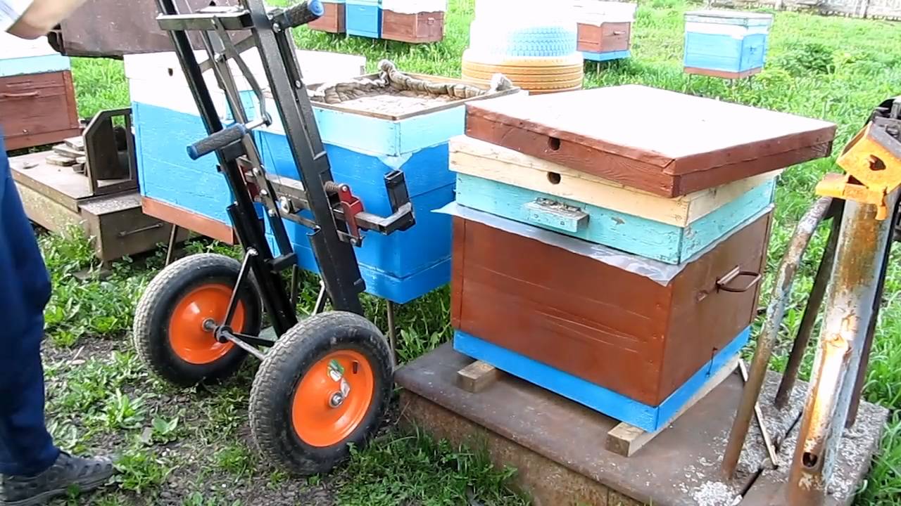 Работаю на пасеке апилифтом смотреть онлайн