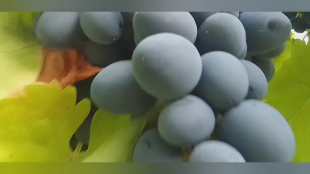 Доброе утро всем!