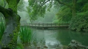 🌧️💧 На красивой речушке льет дождь , спи, расслабляйся, медитируй, АСМР