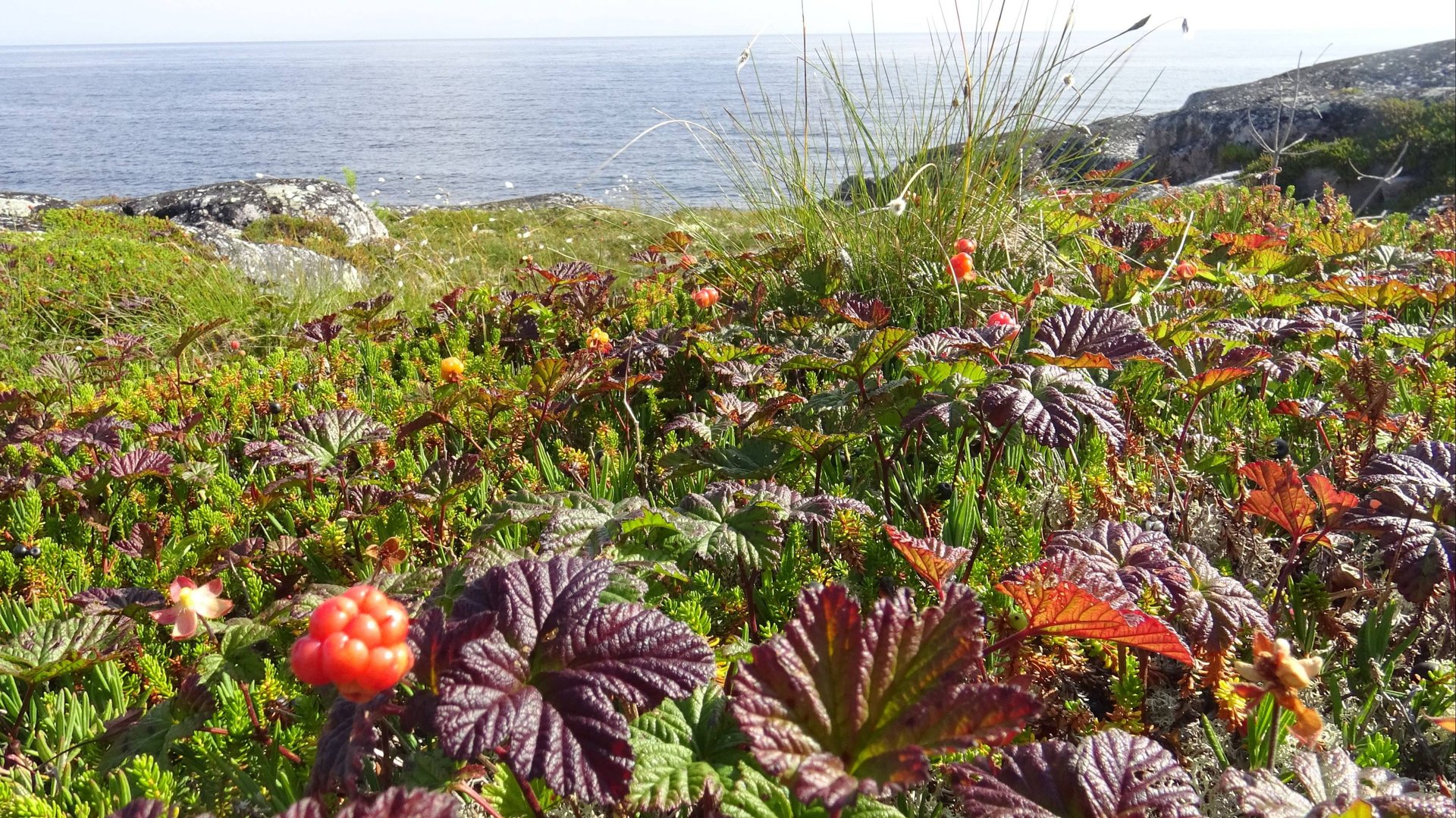 Белое море 2025 год.  часть 3