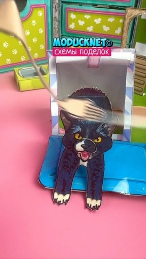 🤷 Четыре вещи, на которые обижается мой кот 🐈 по схемам #модакнет #moducknet