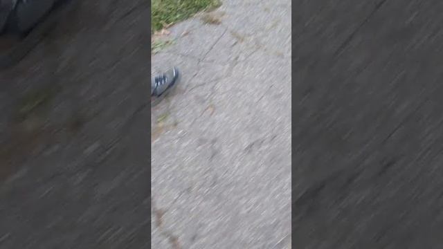 .. смотреть онлайн