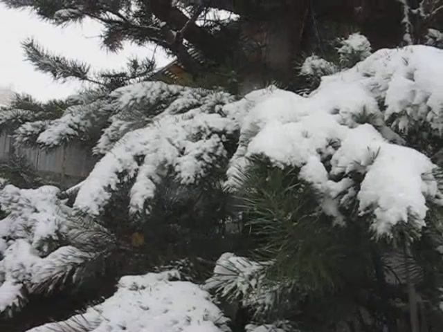 ПервоСнежная сказка Сентября 30.09.2025г.1 часть.