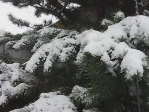 ПервоСнежная сказка Сентября 30.09.2025г.1 часть.