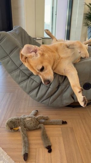 А я его предупреждал🙈