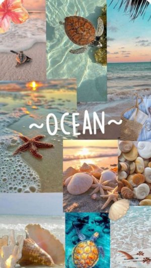 GRWM в школу 🤍🖤🤍🖤🤍🖤🤍