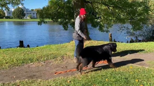 Приучение к маркеру “ДА”