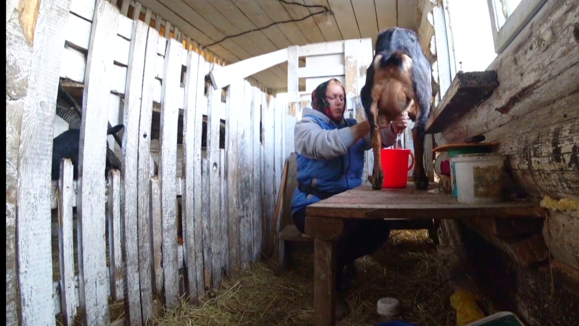 Как такое могло произойти?А что ТАКОЕ возможно?Деревенский день,Она все испортила сбила все планы смотреть онлайн