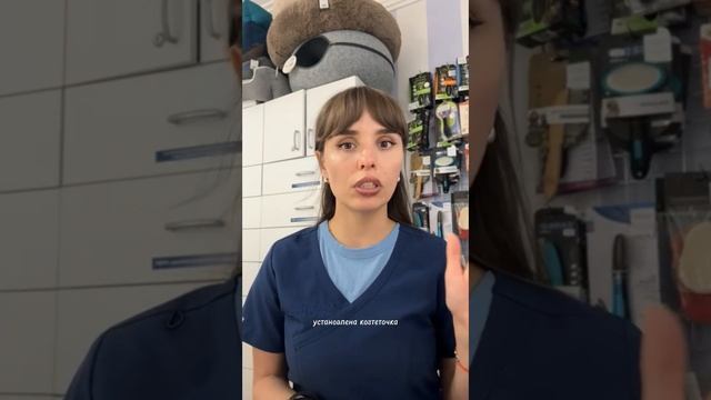 Почему котик не точит когти?