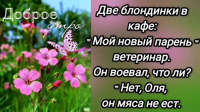 🤣Анекдот из Сыктывкара смотреть онлайн