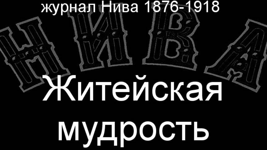 Житейская мудрость.Кнаус, описание журнал Нива 1876-1918 смотреть онлайн