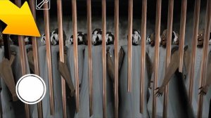 ЗАКРЫЛ 1000 КЛОНОВ БАБУЛИ В ТЮРЬМЕ! - Granny