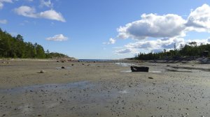 Белое море 2025 год.  часть 4