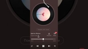 Андрей Голубев & ИИ - Цветок Жизни .