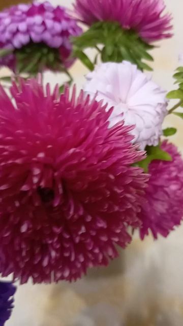 Осень жизни... смотреть онлайн