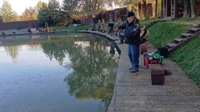 Новая партия форели активно проявляет себя на водоёме. смотреть онлайн
