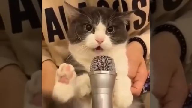 1 октября проверят системы оповещения по городам #shorts