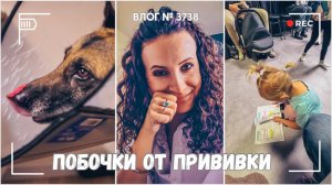 Побочки от прививки | Как дела у Рекса -  ВЛОГ №3738 - 30.09.25