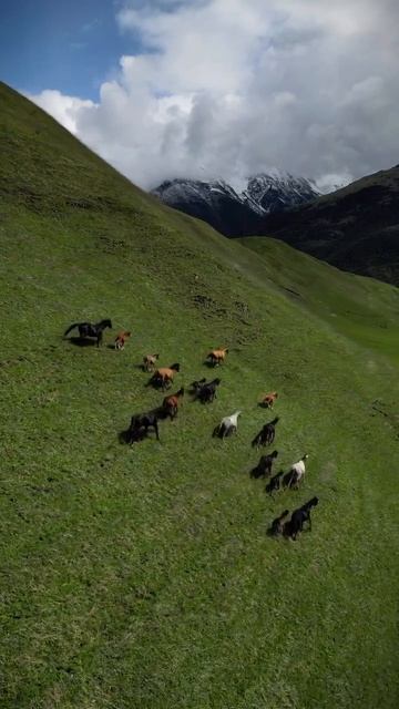 #Кавказ, #Россия.