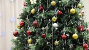 Новый год 2016-2017