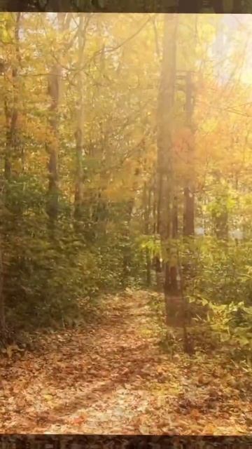 Твоя минутная головоломка - отгадай всё!#загадки#головоломки #проверьсвоюсмекалку #Shorts