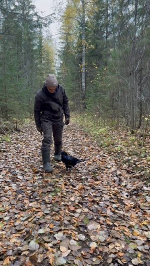 Повторяем с Гошей змейку