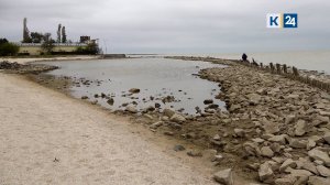 В Ейске рыбы застряли на мелководье из-за сильного ветра у берега Азовского моря