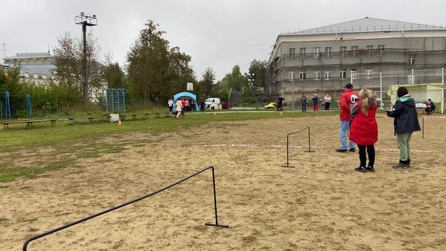 2.  выражено/перв АРЕАЛ РОСЬ АВАЛОН (Team del Sol Nascente Franko – Хайди из Дома Алленс)