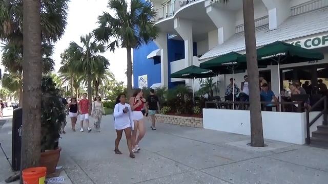 Bushman In Clearwater