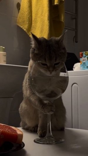 Кем я стану в следующей жизни