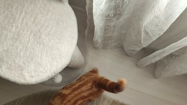 Солярий для сладкой булочки🥰☀🌝 смотреть онлайн