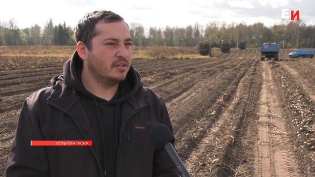 В ФЕРМЕРСКОМ ХОЗЯЙСТВЕ АЛИЕВЫХ ИДЕТ СБОР УРОЖАЯ смотреть онлайн