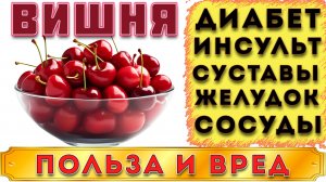Вишня - Польза и Вред (Подводные камни Вишни, полезные свойства и противопоказания)
