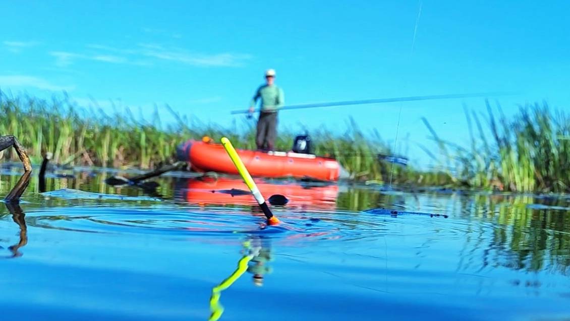 Вышла интересная РЫБАЛКА на ПОПЛАВОК а крупный карась радовал!!! смотреть онлайн