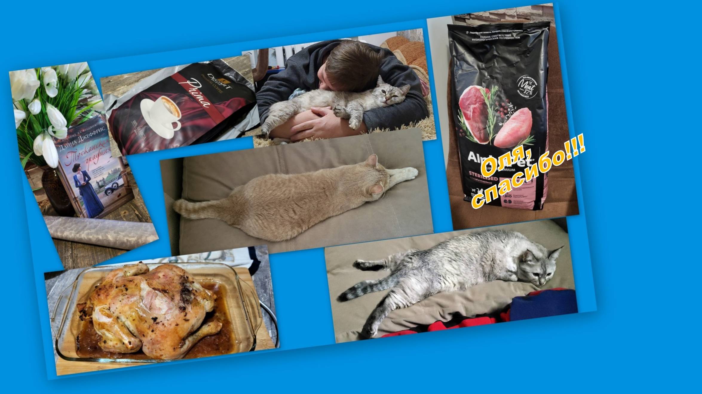 ВЛОГ: МНОГО ИНТЕРЕСНЫХ ПОКУПОК, НАШ БЫТ И ПУШИСТЫЙ ДОСУГ! смотреть онлайн