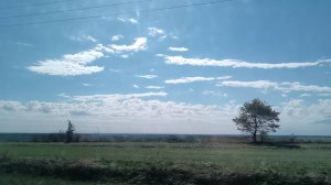 ПЕРЕВЯЗАЛА, ПЛАНЫ🧶