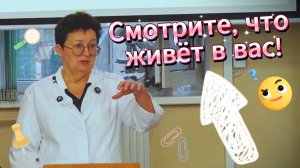 Почему болезни идут по наследству?