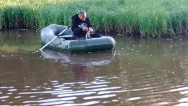 Ловим рыбку