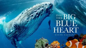 Сериал В голубую бездну — 2 серия / Into the Big Blue Heart: Ocean Currents