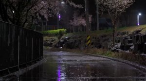 Тихий звук дождя для глубокого сна и отдыха в бессонную ночь 🌧️