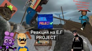 реакция на Е.Г PROJECT