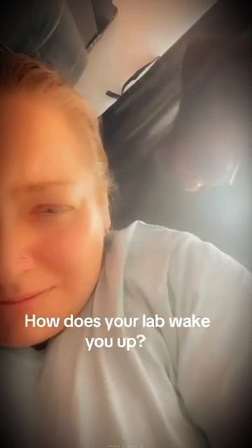 Супер животные