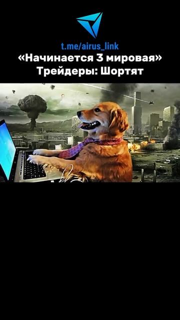 🐺 POV: Возвращаюсь к обычной работе