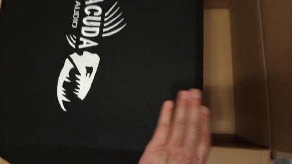 Обзор на сабвуфер Barracuda 12A Flat от DL Audio