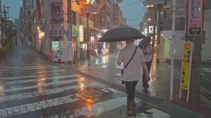 Летний вечерний ливень в Токио с грозой - Гром и молния