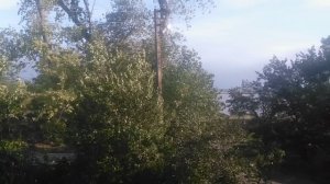 VID_20251001_081709.mp4